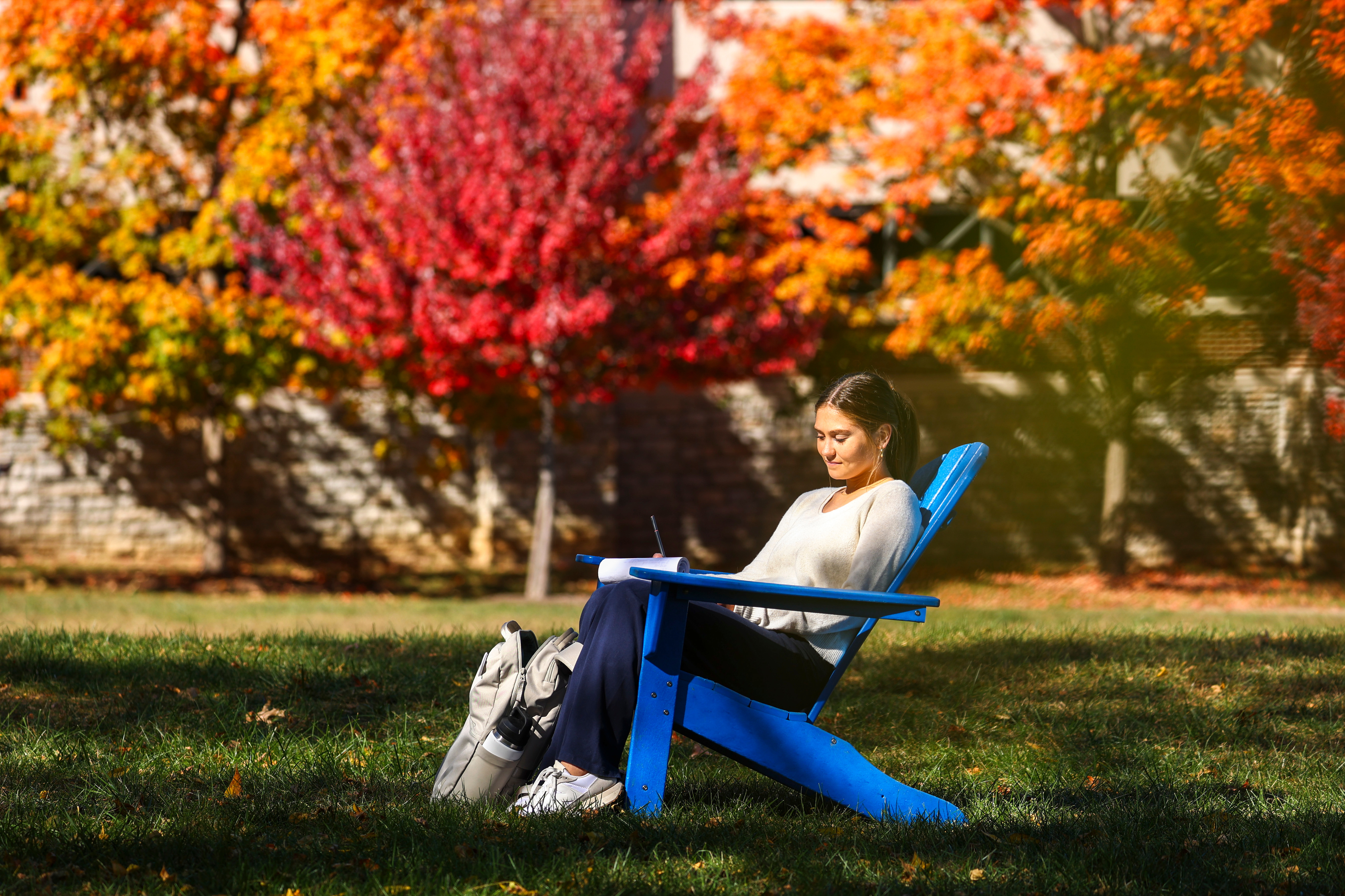 fall student chair