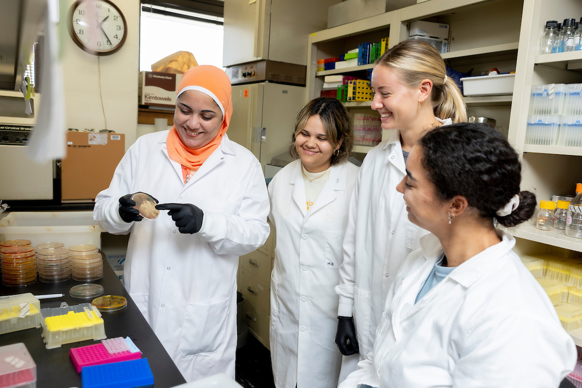 grad and undergrad students together in lab