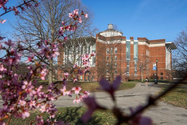 gillis front of building a bolder step forward