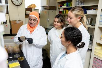 grad and undergrad students in lab working together