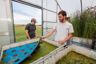graduate students in greehouse, college of ag