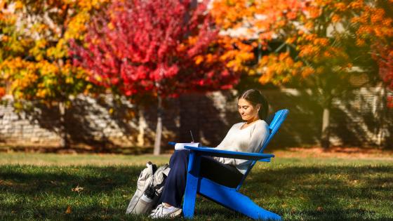 fall student chair