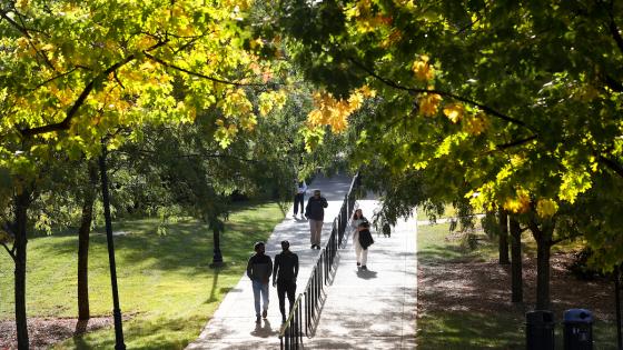 walkway on campus