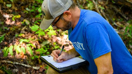 research outside