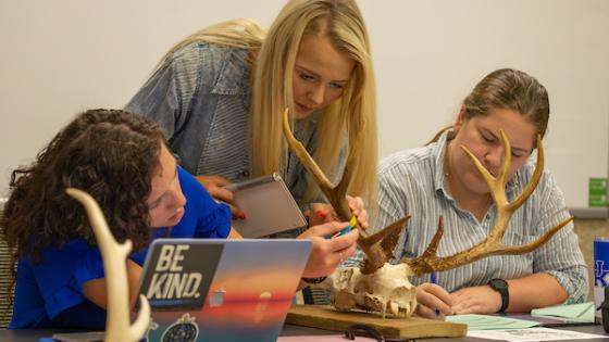 students with teacher